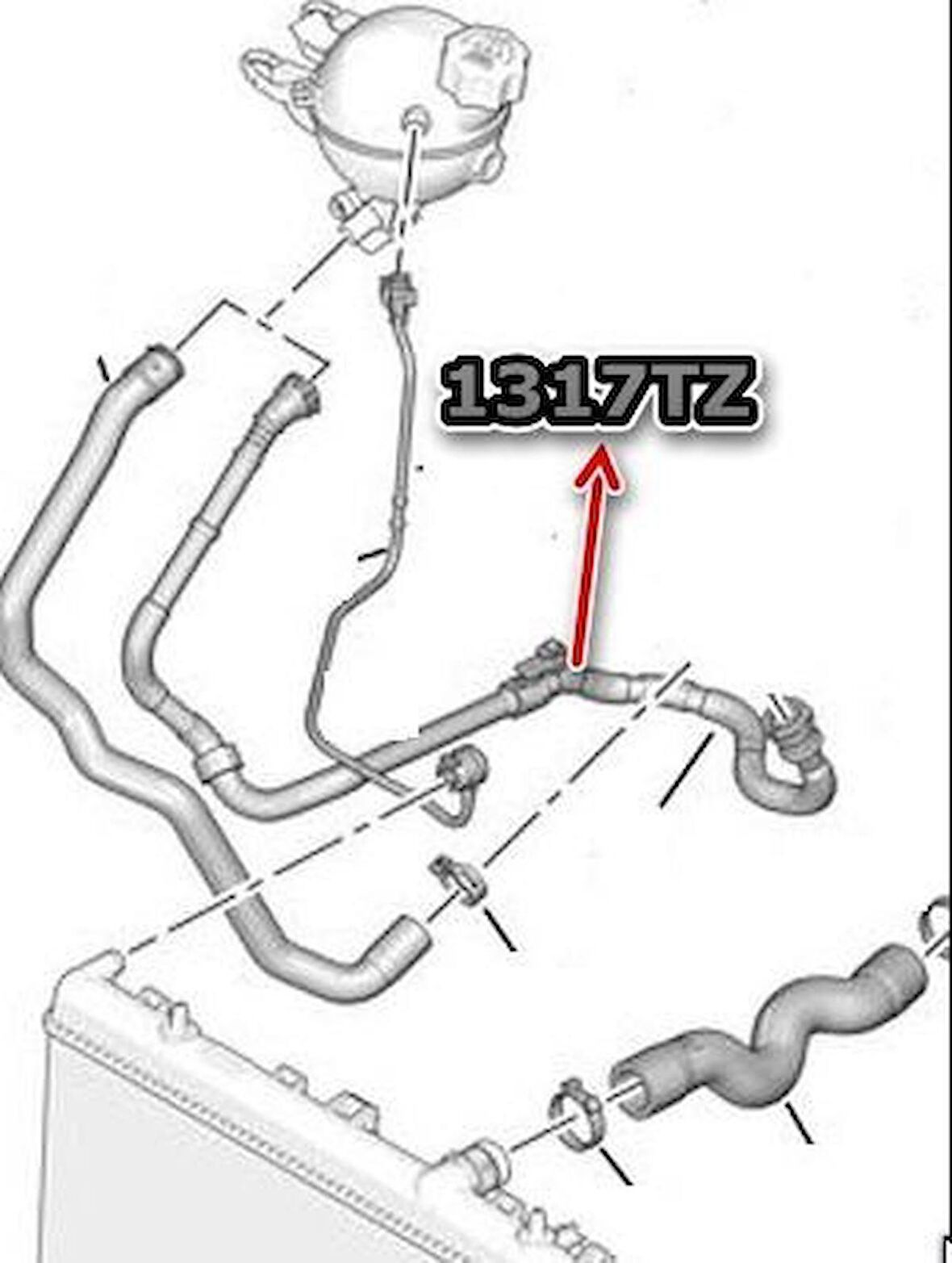 Peugeot 207 Kalorifer Radyatör Hortumu [Orjinal] (9675906380)